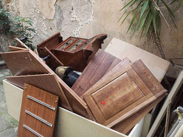 Best Office Junk Removal  in Roan Mountain, TN
